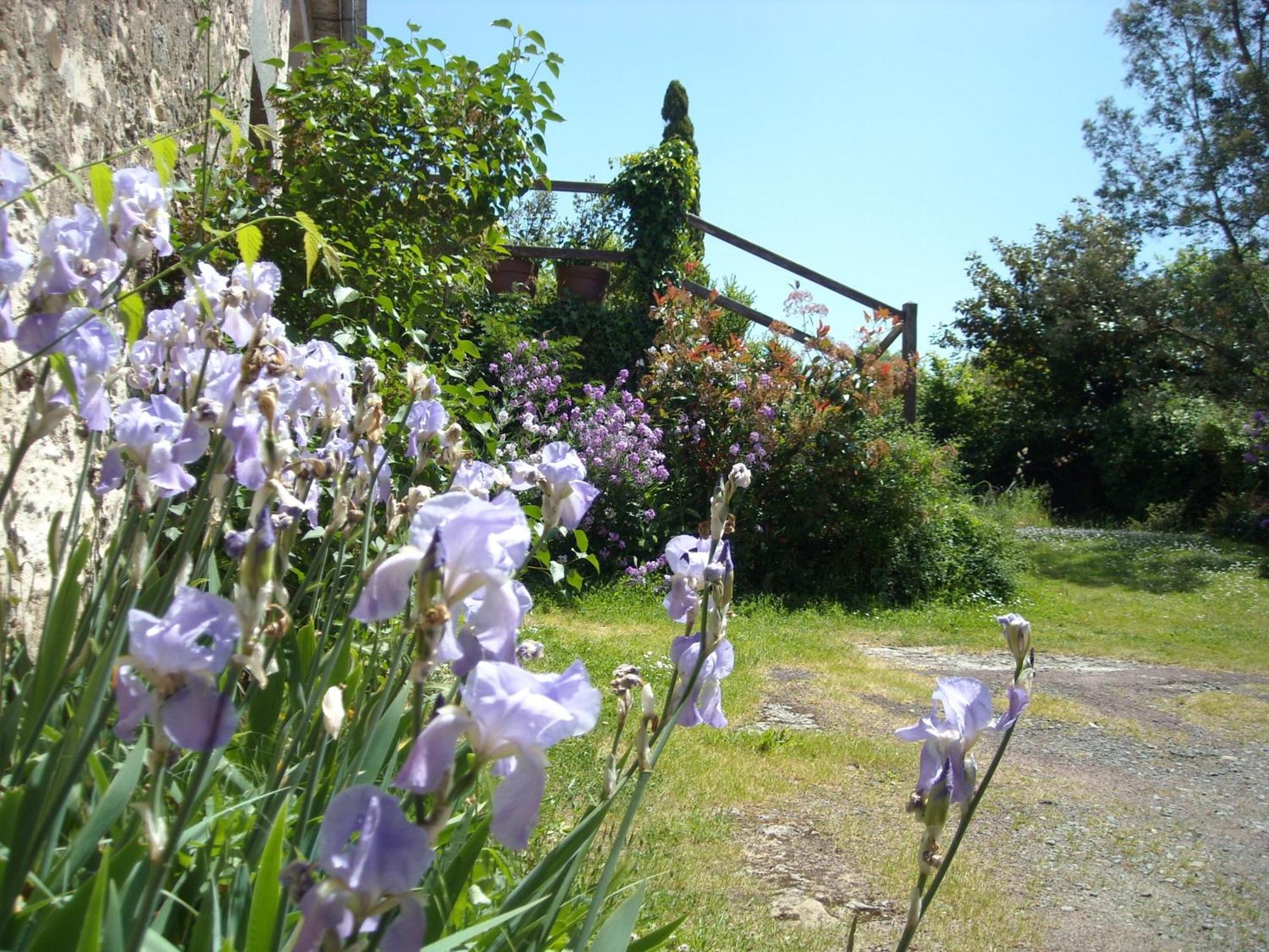Bed and Breakfast La Tour Des Laudes Breuil-Barret Exterior foto